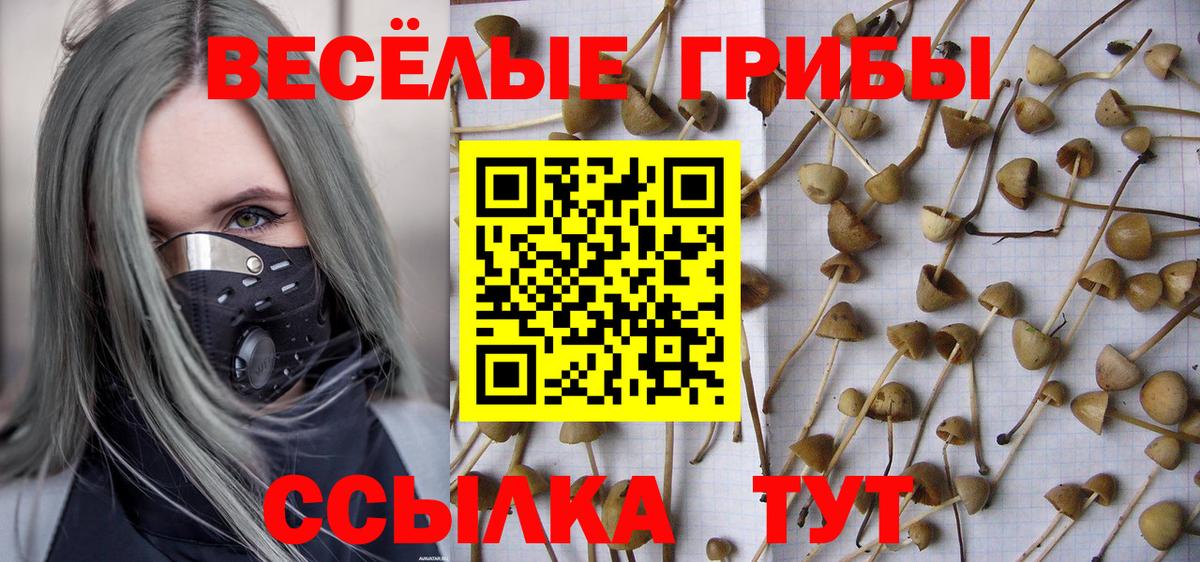 Псилоцибиновые грибы ЛСД  Вход с VPN  Новокузнецк 