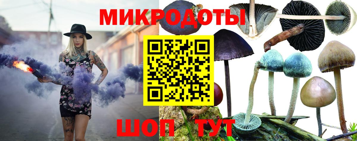 Галлюциногенные грибы Psilocybine cubensis Новокузнецк