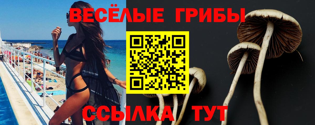 ГАШИШ Новокузнецк